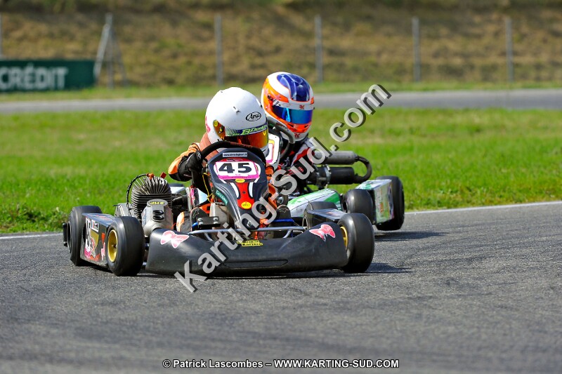 DSC_ (645).jpg